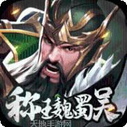 称王魏蜀吴