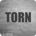 TORN撕裂