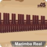 Marsus