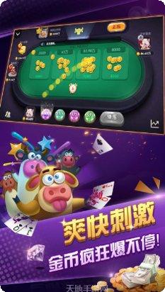 新发棋牌游戏规则
