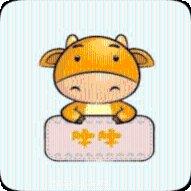 天天斗牛游戏安卓版