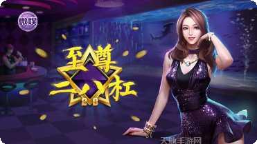 至尊二八杠玩法介绍