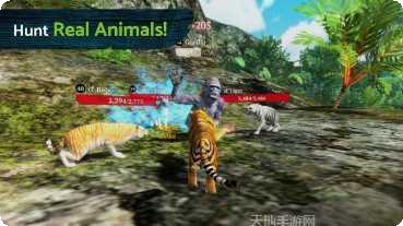 The Environs生存挑战