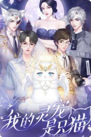 我的灵宠是只猫宠物养成