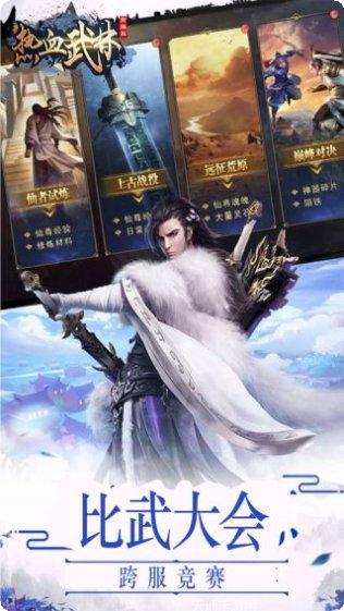 热血武林BTGM商店版激活码