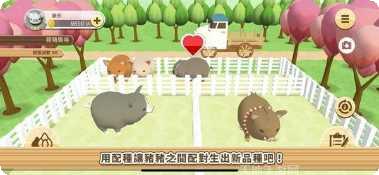 像素养殖鸡攻略
