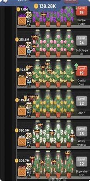 闲置杂草公司下载地址