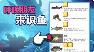 北野棋牌下载