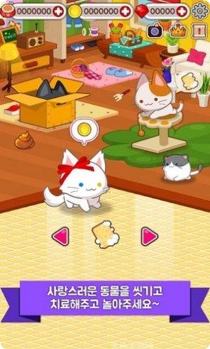 迷你宠物M小猫攻略