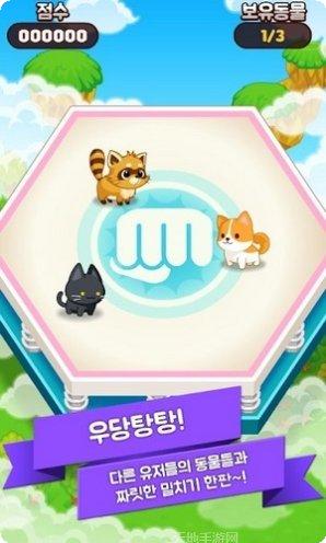 迷你宠物M小猫社区交流