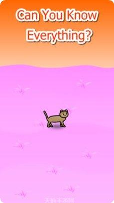 流浪猫模拟生存安卓版