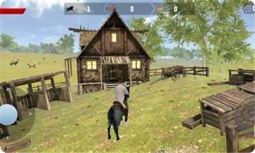 狂野西部野生动物园策略挑战