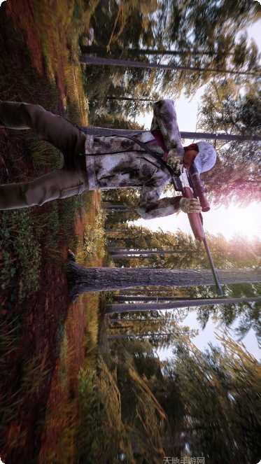 模拟猎鹿人2017游戏攻略