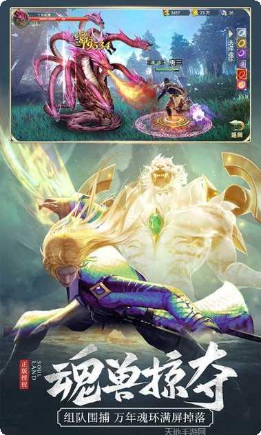 斗罗大陆神界传说2满V版攻略