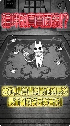 世界奇喵物语宠物收集