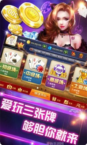 完美金花棋牌游戏