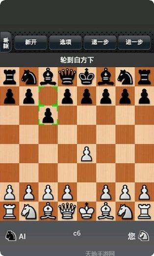 国际象棋玩与学开局技巧