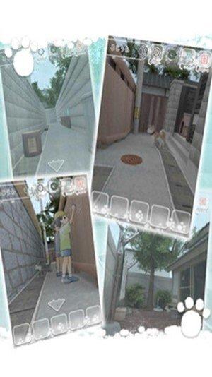 迷路的家伙淘汰赛玩法介绍