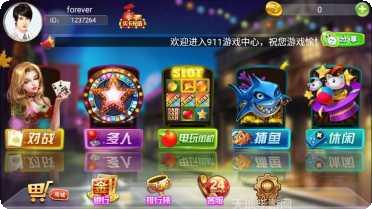 911游戏攻略