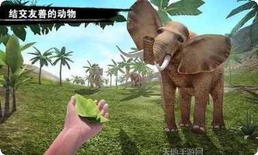 求生岛之旅下载