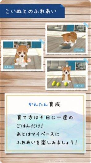 幸福的坟墓最新版本