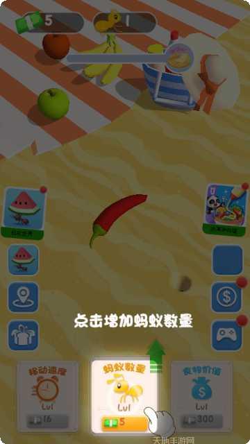 我的宠物小黄鸡怎么喂养