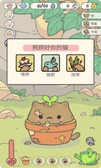我的猫咪红包版下载
