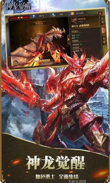 神龙觉醒2角色培养