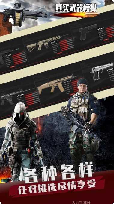 真实武器AR枪械收藏