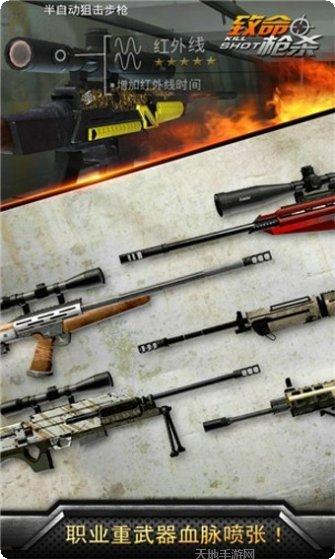 致命枪火武器大全