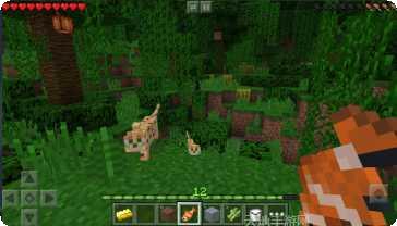 我的世界116版本新特性