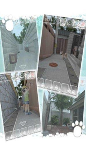 迷路的小猫攻略