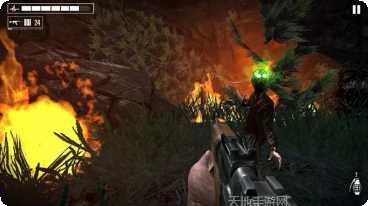 燃烧的蔬菜3最新版本