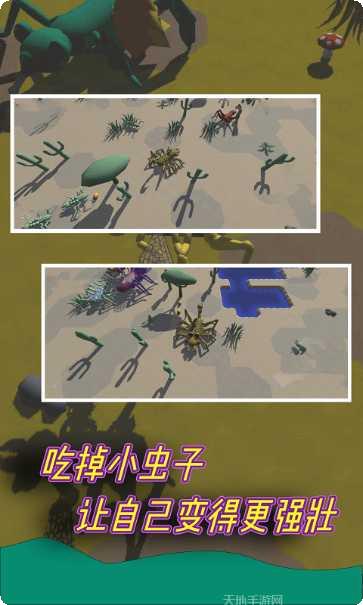 昆虫进化竞技场最新版本