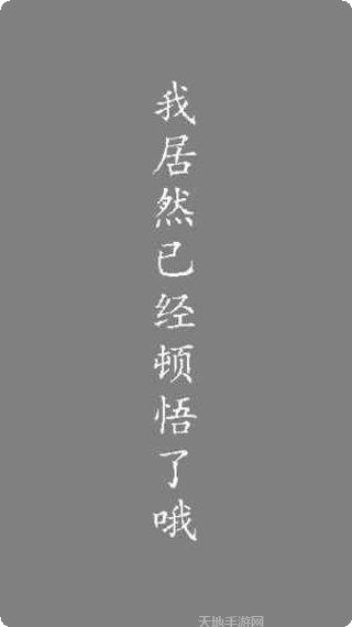 我居然在玩策略战斗