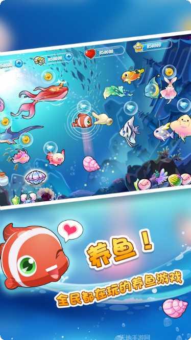 圈了个鱼游戏评测