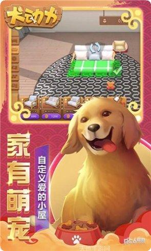 犬动力游戏攻略
