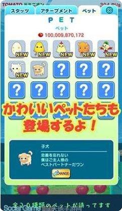 西红柿首富钻石版礼包