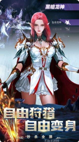 龙之怒吼游戏攻略