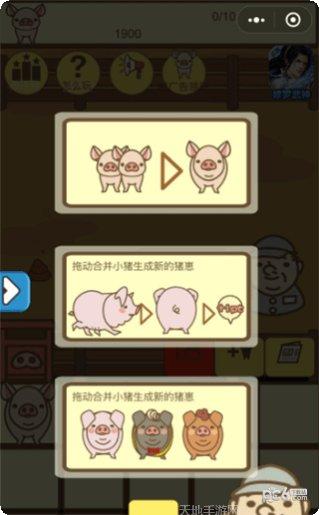 养猪大亨最新版本