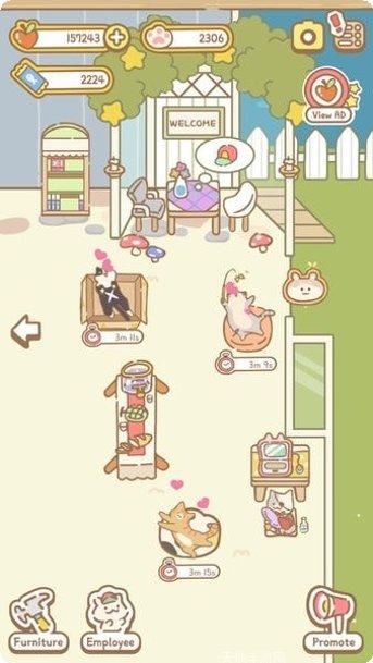 猫猫水族馆玩法介绍
