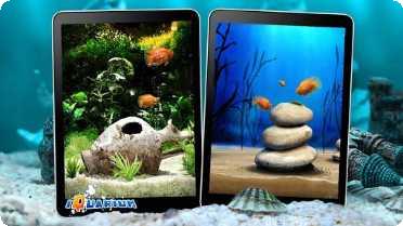 口袋水族箱最新版本