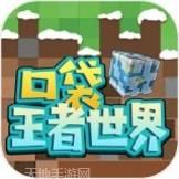 口袋王牌