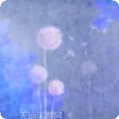 蒲公英之旅