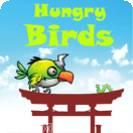Hungry Birds