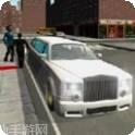豪华轿车特技比赛