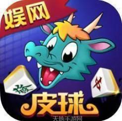 娱网皮球