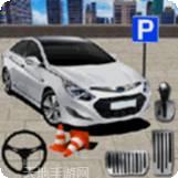 汽车停车模拟器