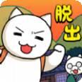 猫与秘密宝藏