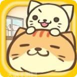 猫咪的一生